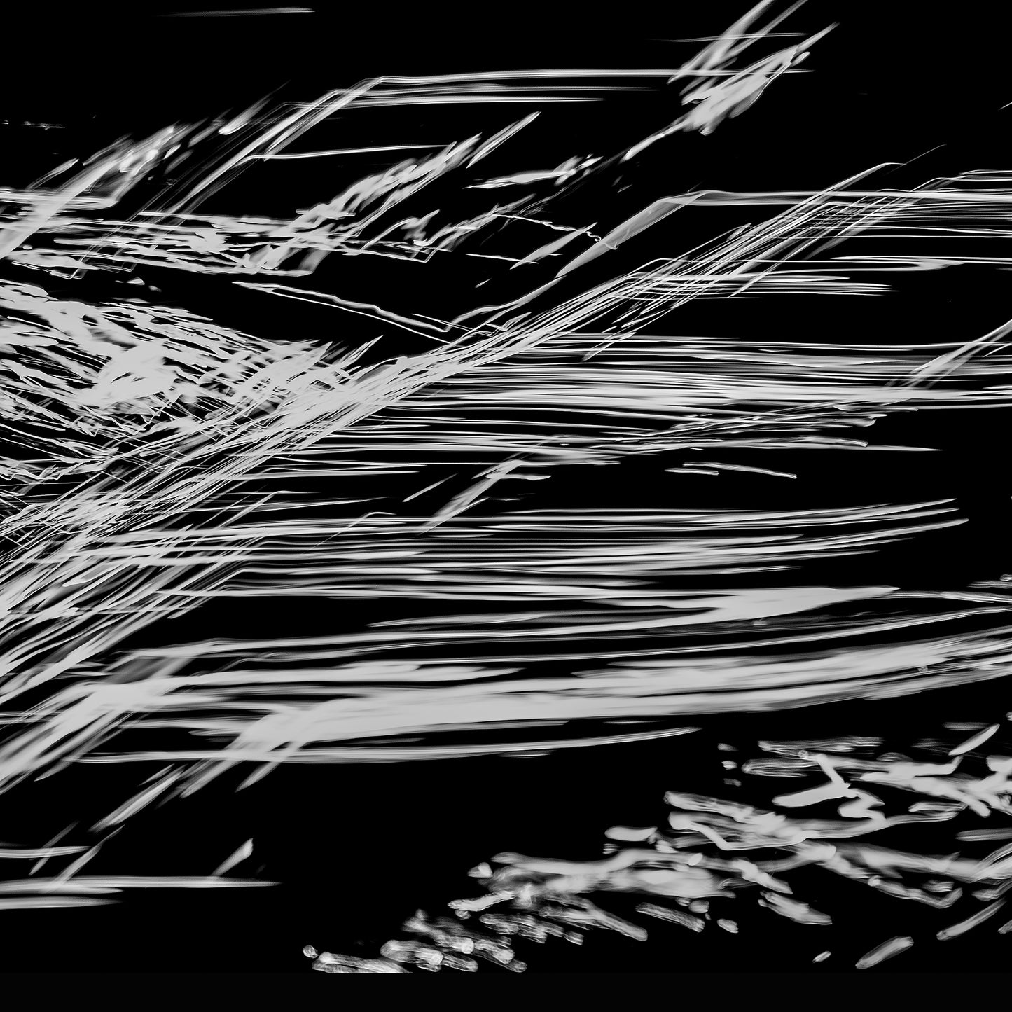 Reed Storm | 蔦の嵐 — Fine Art Print
