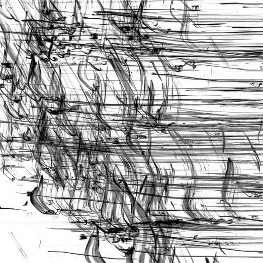 Arashi no Fude: Brushstroke of the Storm | 嵐の筆