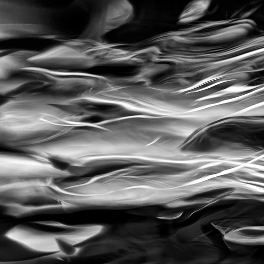 Wind Harvest | 風の収穫