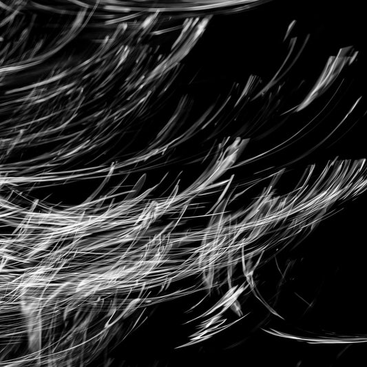 Vortex Script | 渦の書