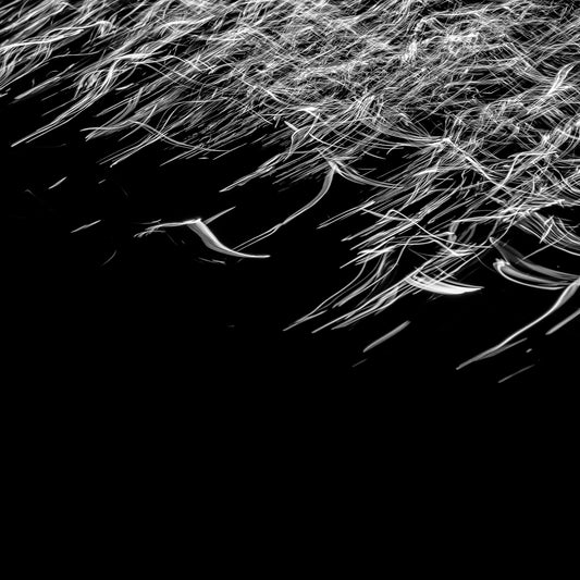 Luminous Cascade | 光の滝